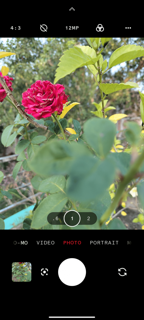 best mobile photography tips tap to focus