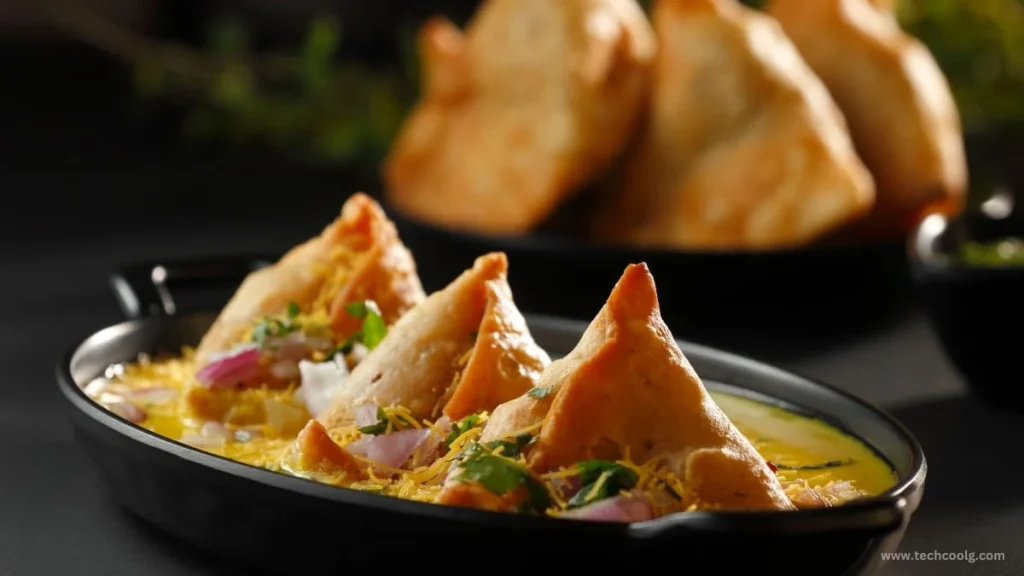 samosa chaat business plan